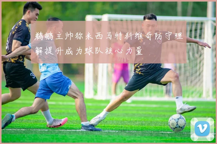 鹈鹕主帅称米西马特科维奇防守理解提升成为球队核心力量