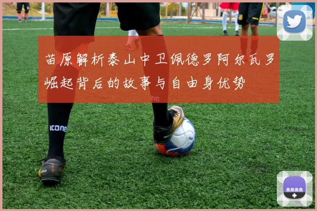 苗原解析泰山中卫佩德罗阿尔瓦罗崛起背后的故事与自由身优势